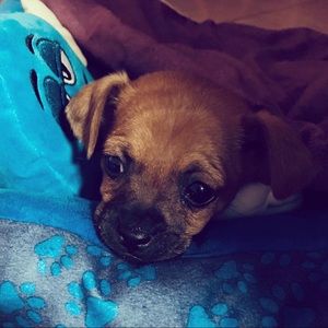 Meet your Posher, Celeste